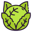 Cabbage ícone 64x64