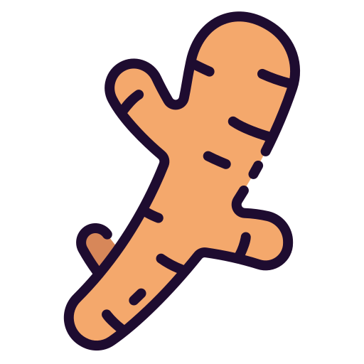 Ginger icon