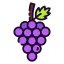 Grape ícone 64x64