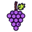 Grape ícono 64x64