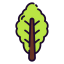 Lettuce ícono 64x64