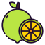 Lime icône 64x64