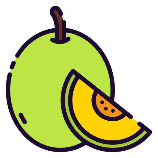 Melon icon