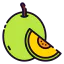 Melon іконка 64x64
