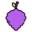 Raspberry ícono 64x64