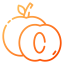 Apricot icon 64x64