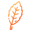 Basil icon 64x64