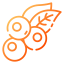 Blueberry icon 64x64