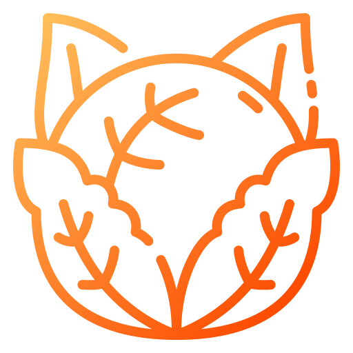 Cabbage icon