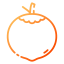 Coconut icon 64x64