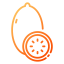 Kiwi icon 64x64