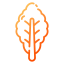 Lettuce icon 64x64