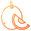 Melon icon 64x64