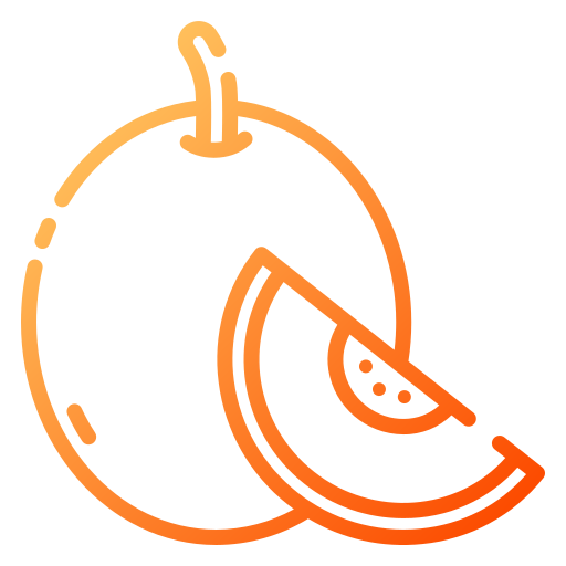 Melon icon
