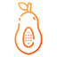 Papaya icon 64x64