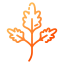 Parsley icon 64x64