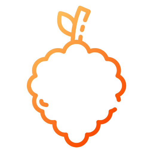Raspberry icône