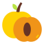Apricot icon 64x64