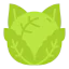 Cabbage icon 64x64