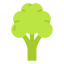 Cauliflower icon 64x64