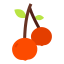 Cherry icon 64x64