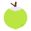 Coconut icon 64x64