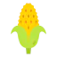 Corn biểu tượng 64x64