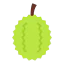 Durian icon 64x64