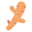Ginger icon 64x64