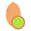 Kiwi icon 64x64