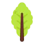 Lettuce icon 64x64