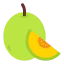 Melon icon 64x64