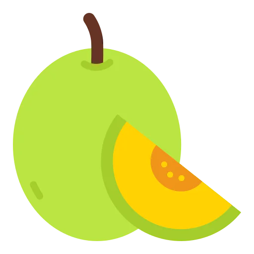 Melon icon