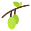 Olives icon 64x64