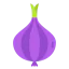 Onion icon 64x64