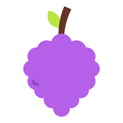 Raspberry Ikona