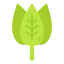 Spinach icon 64x64