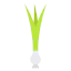 Spring onion icon 64x64