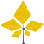 Tree leaf 图标 64x64
