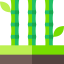 Bamboo icon 64x64