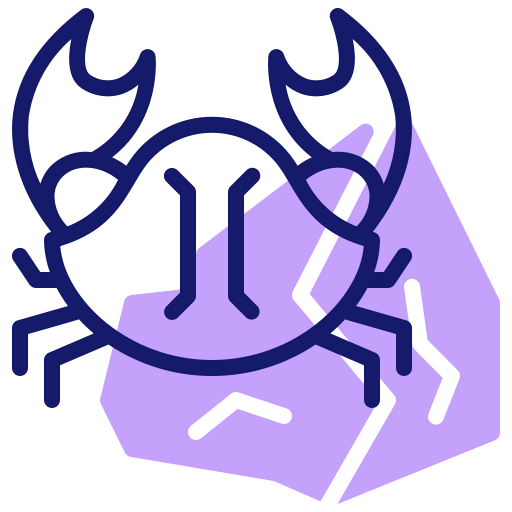 Crab 상