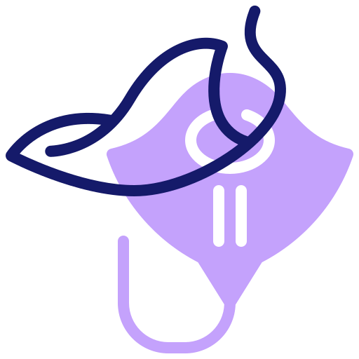 Stingray 图标