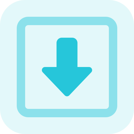 Save button ícono