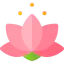 Lotus 图标 64x64