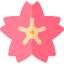 Cherry blossom icon 64x64