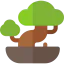 Bonsai 图标 64x64