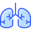 Lungs іконка 64x64