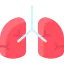 Lungs icon 64x64
