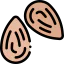 Almond icon 64x64