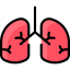 Lungs icon 64x64